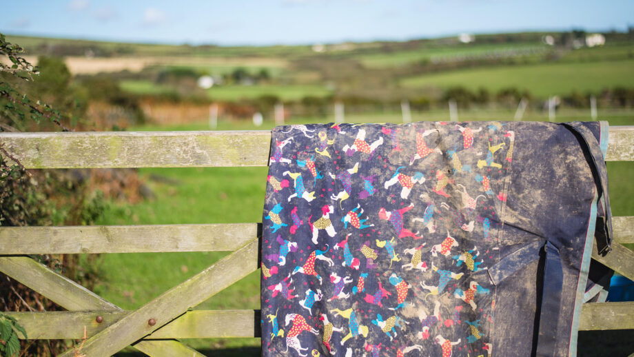 Horse rug hanging on a gate