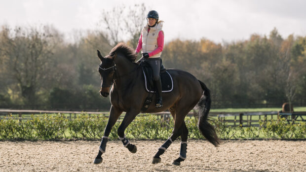 Laura Tomlinson preparing to ride a downward transition from canter to trot