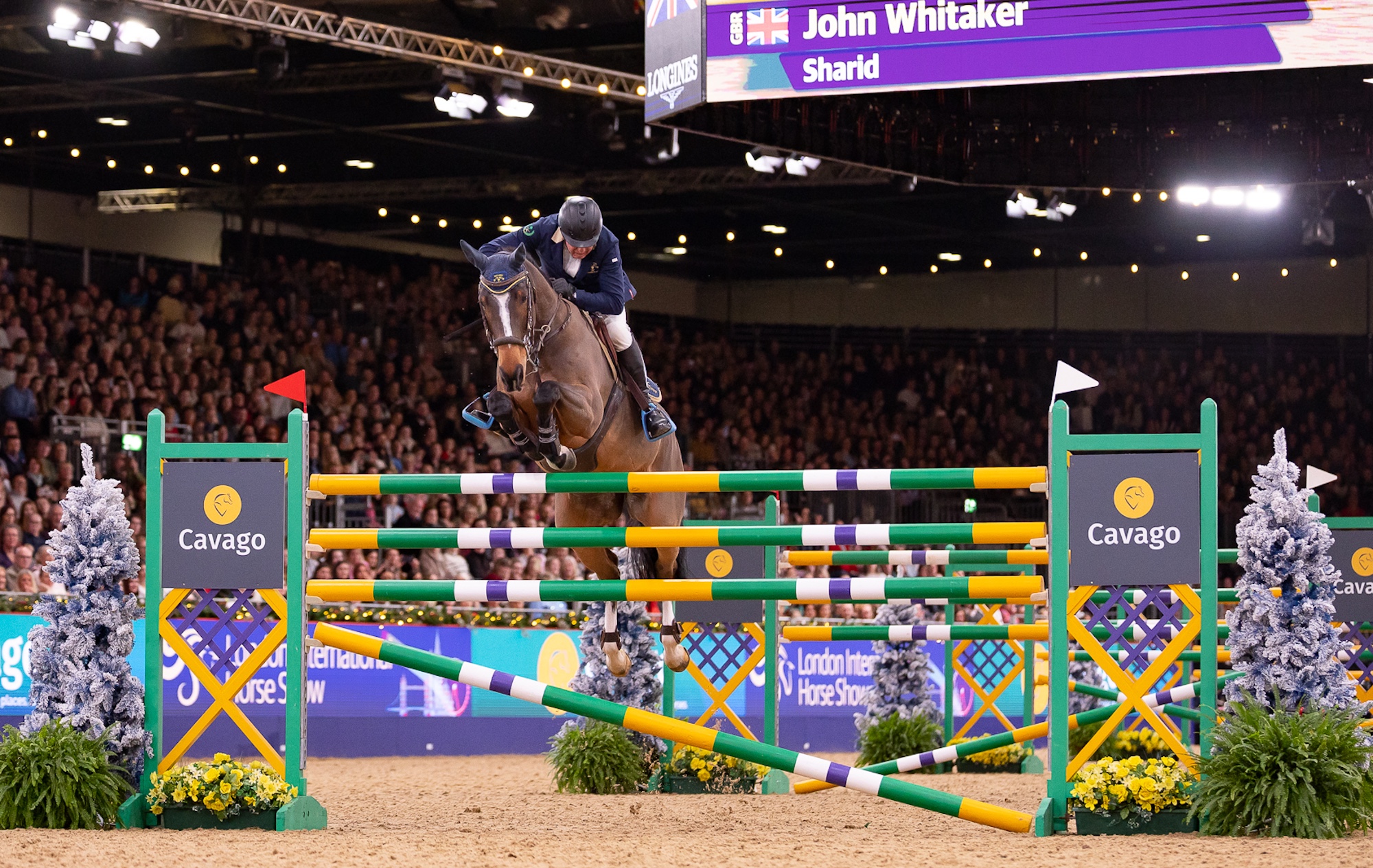 ‘It’s still a win!’ John Whitaker shares London spoils with Seb Hughes and his 18.2hh star – in unusual fashion