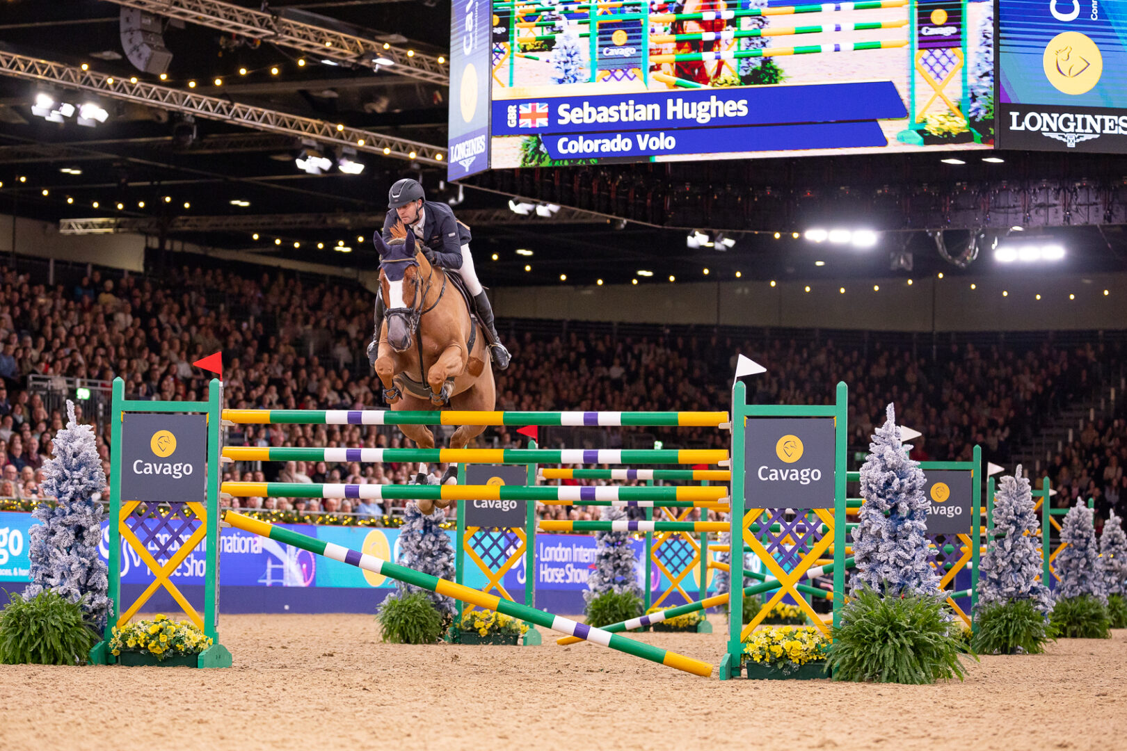 John Whitaker shares London win with Seb Hughes and 18.2hh star