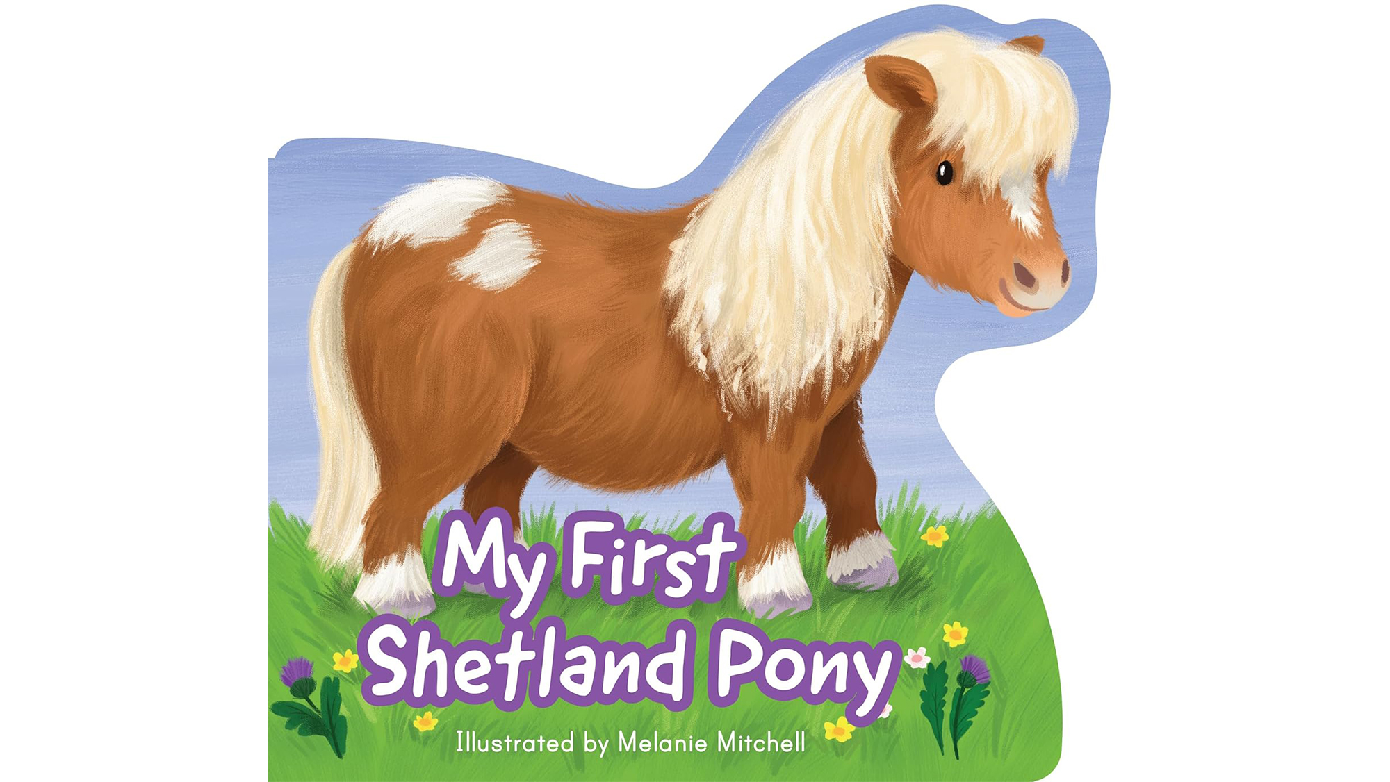 My First Shetland book