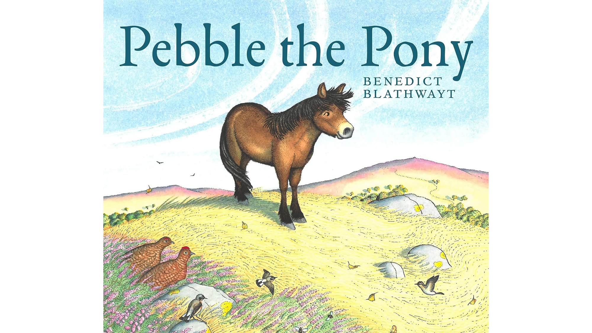 Pebble The Pony book