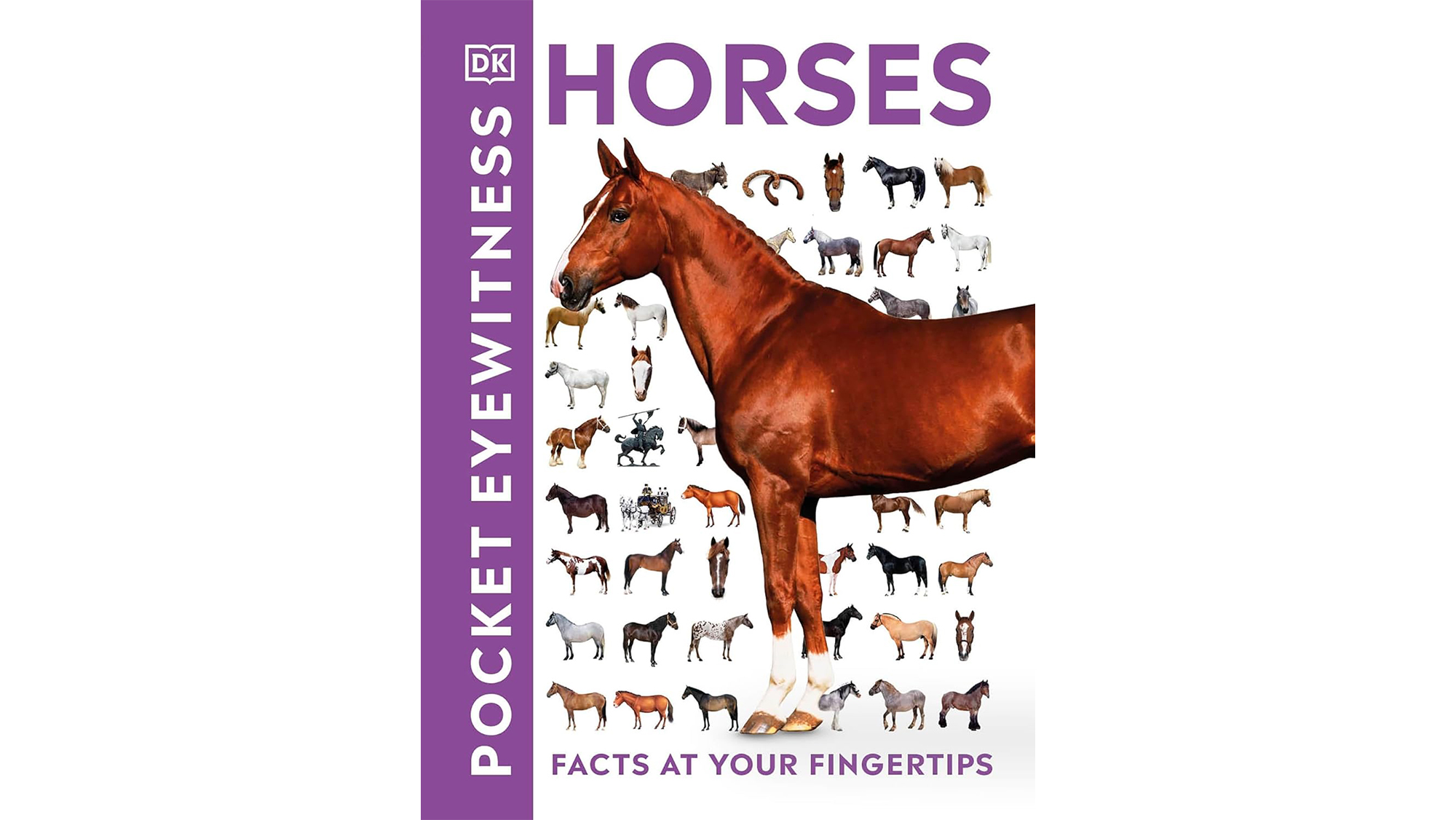 Pocket Eyewitness Horses- Facts at Your Fingertips book