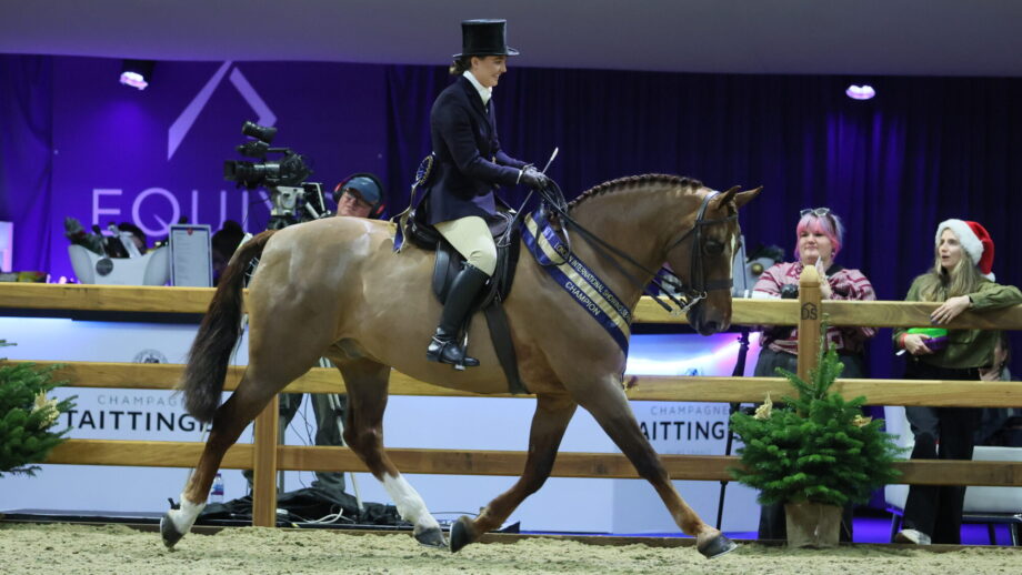 Kaitlin Mason landed the British Show Horse Association (BSHA) 2025 Rising Stars small and heavyweight hunter title astride her own Questiontime at London International Horse Show