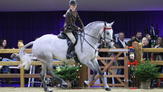 Grace Gibbon and The Granite Way win the working show horse title at the 2025 London International Horse Show.