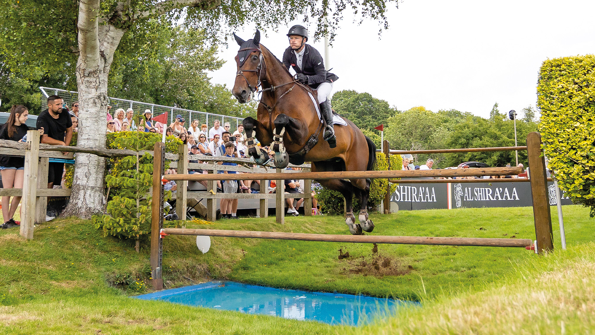 William Whitaker rides Flamboyant III at the Hickstead Derby
