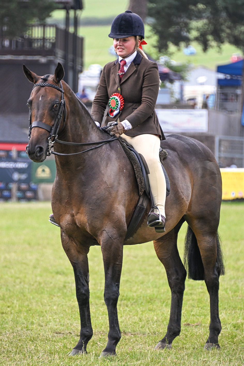 Show hunter pony Stretcholt Roulette and Ella Eynon stand supreme ridden at the Royal Welsh