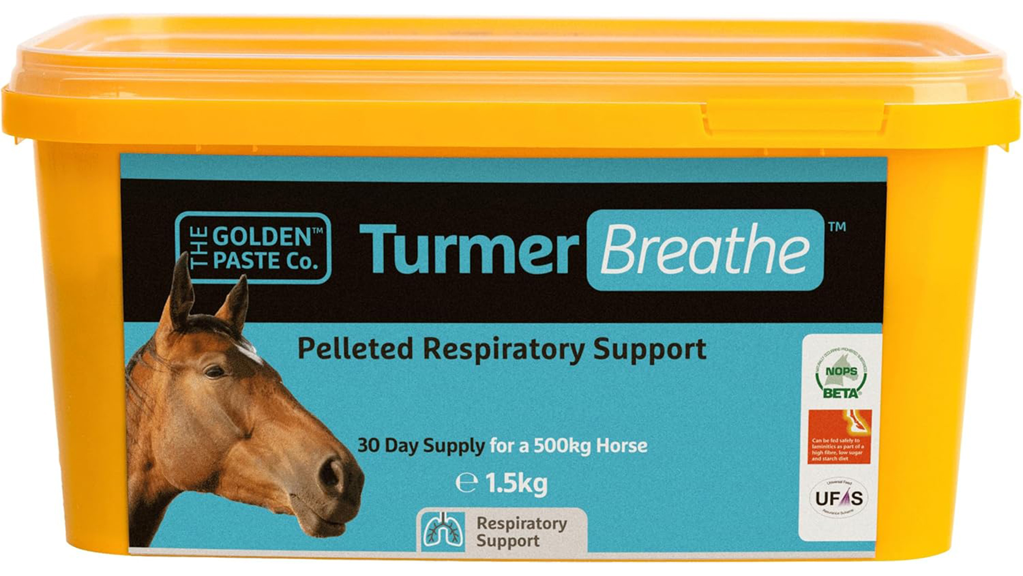 The Golden Paste Co TurmerBreathe supplement