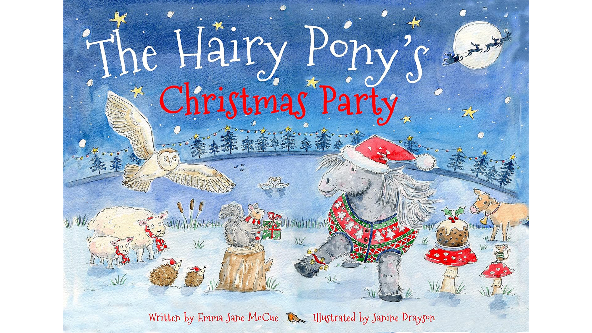 The Hairy Pony’s Christmas Party book
