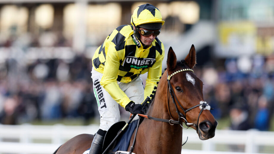 Rachorse Sir Gino canters in front of the crowds with jockey Nico de Boinville in yellow and back silks.