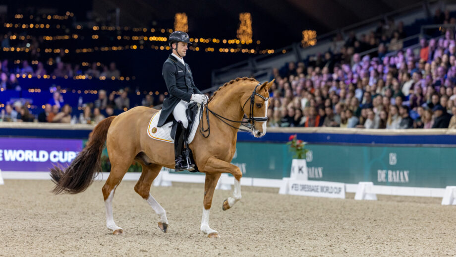 Justin Verboomen and Djembe de Hus at the 2026 World Cup qualifier in Mechelen