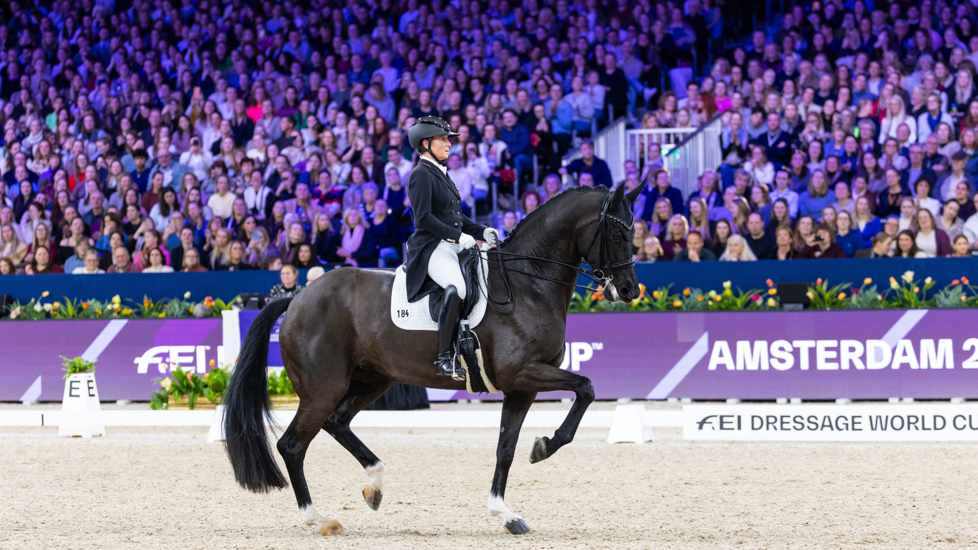Isabell Werth (GER) riding Wendy de Fontaine second in the FEI Dressage World Cup 2025/26 - Amsterdam (NED)