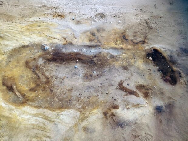 The remains of an Anglo-Saxon horse