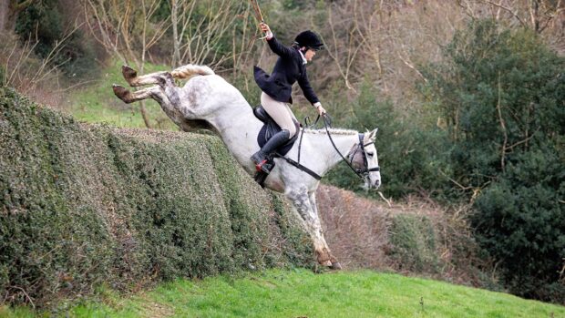 Blue was once deemed too dangerous to ride