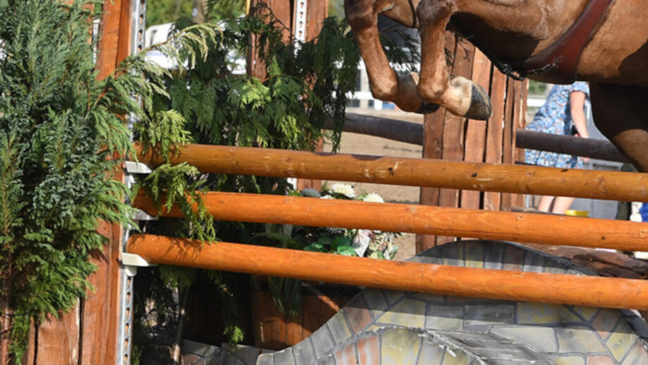 Pictured a horse jumping in a BSPS working hunter class. The BSPS has announced new whip rules for these classes from 2026.