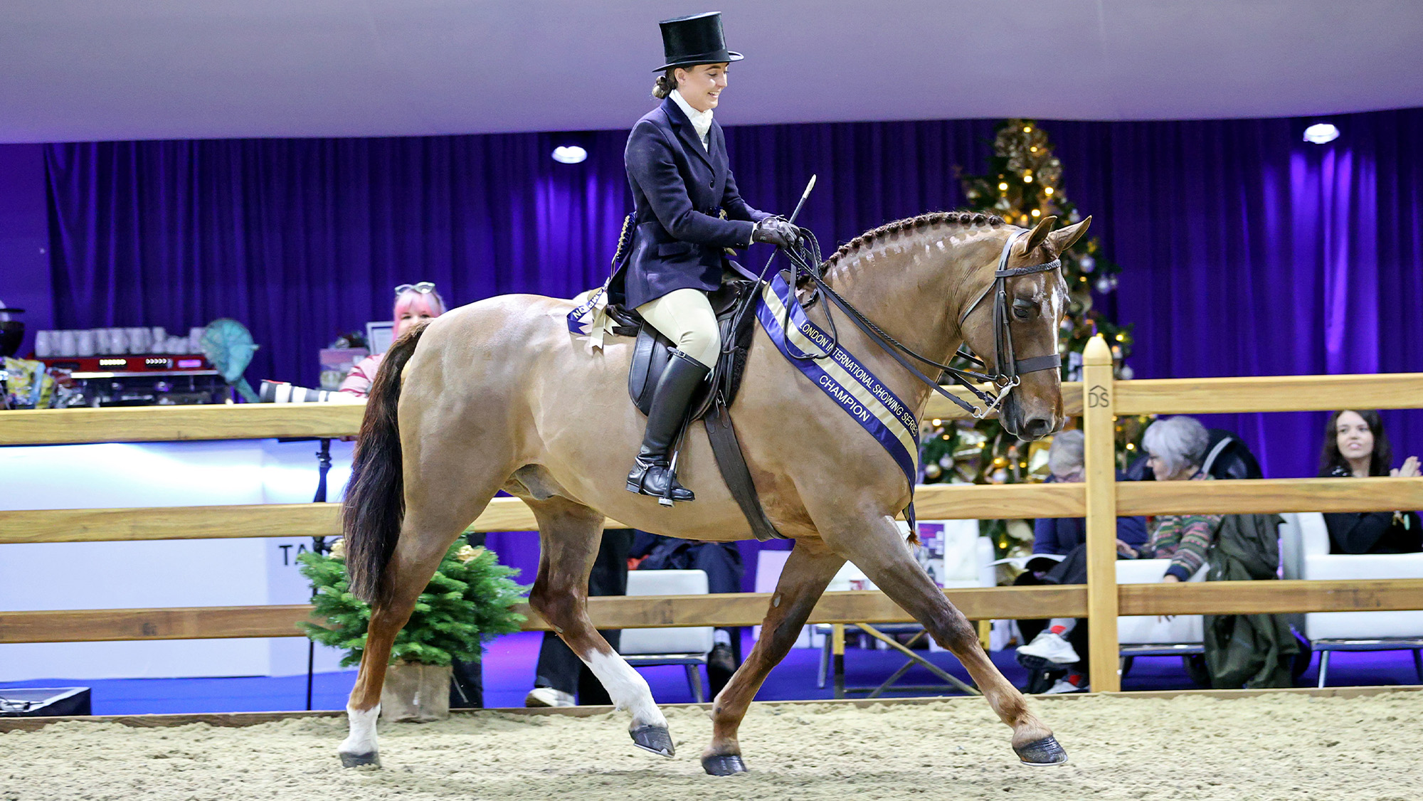 Questiontime ridden by Kaitlin Mason is BSHA Rising Stars hunter champion