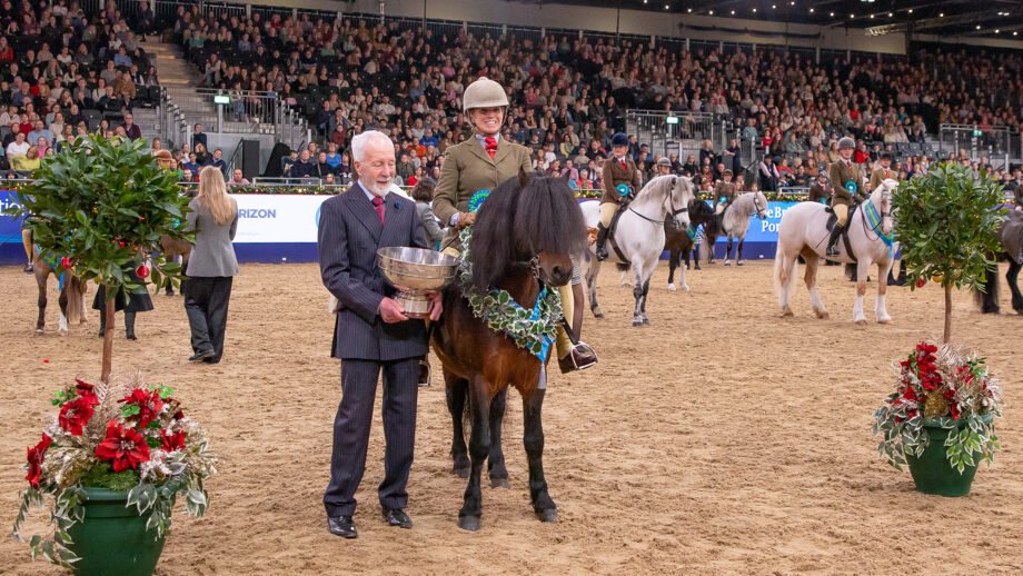 Katie Marriott-Payne smiles at the camera at London International as her M&M ridden champion Salcombe Starehole Bay wears his sash. A man stands alongside with a large punch bowel as the trophy.