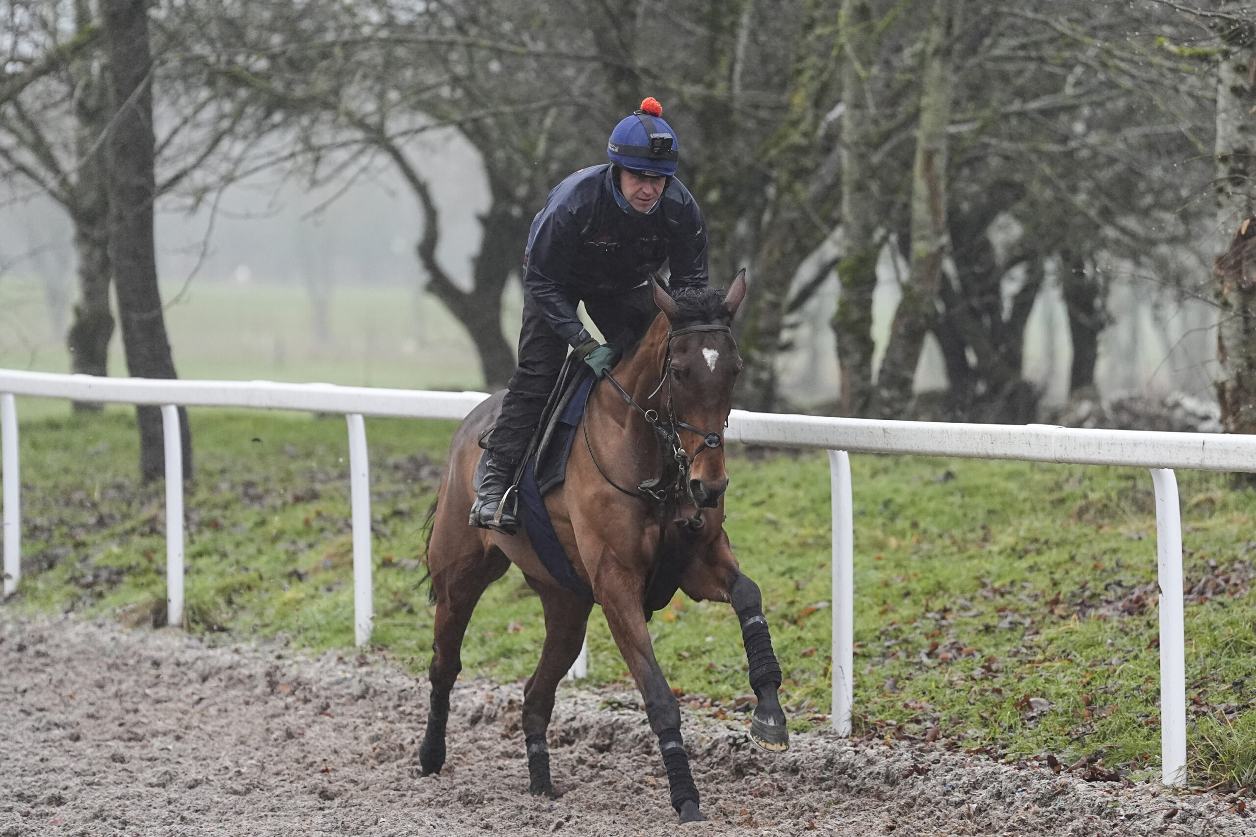 The Jukebox Man on the gallops at home with Ben Pauling.