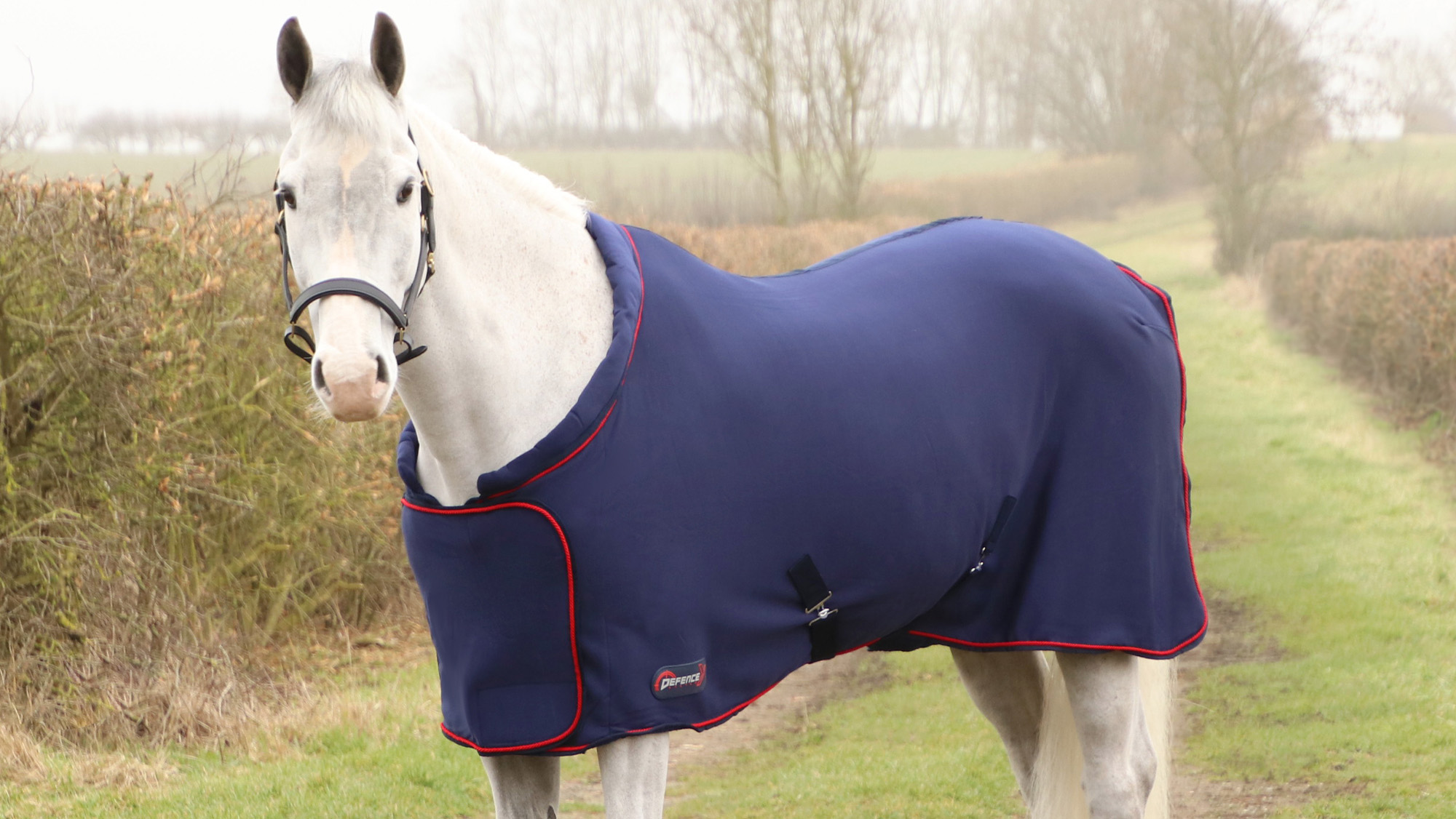 Grey horse wearing a DefenceX System Deluxe Fleece Rug