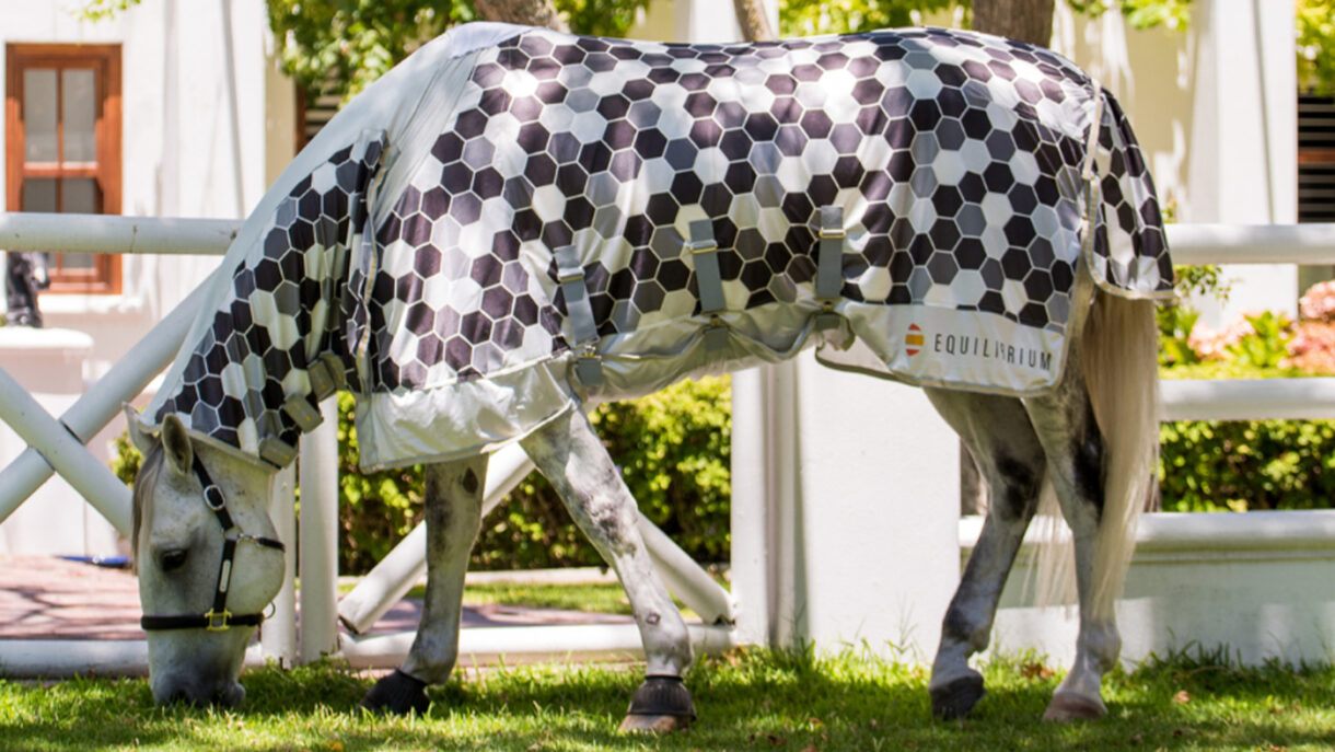 Types of horse rugs and how to work out which your horse needs