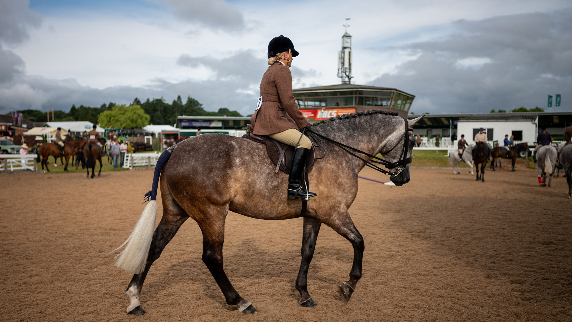 Grey horse warming up for amateur showing class at horse show
