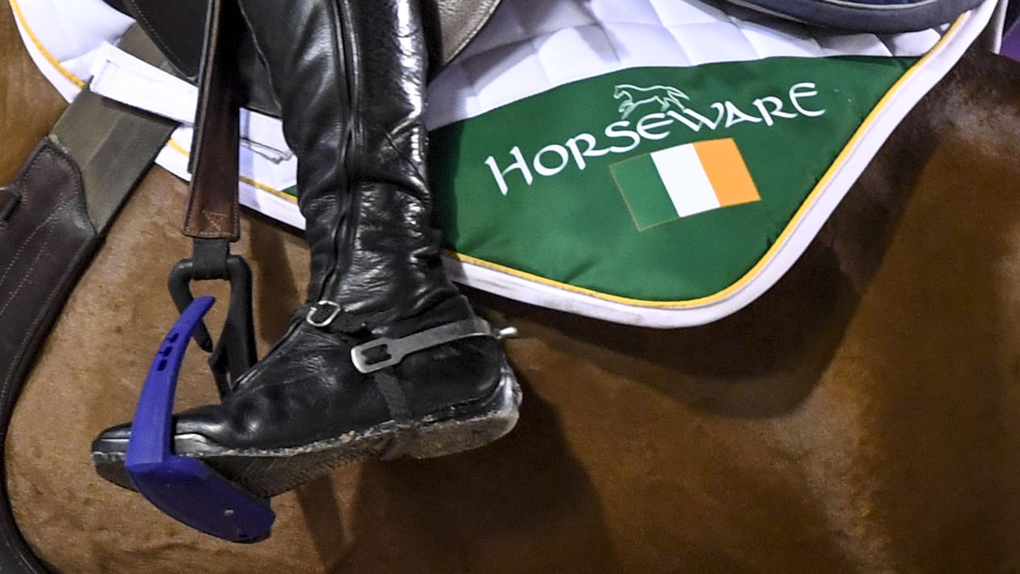 ‘This felt right’: five-star Irish showjumper switches to ride for Sweden