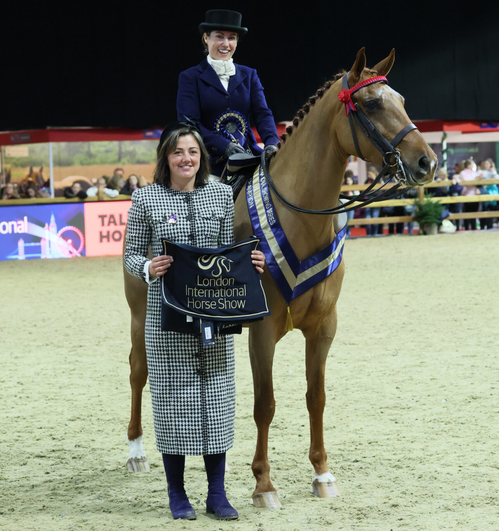 Greenvale Don Legend wins the Rising Stars hack and riding horse final at London International 2025