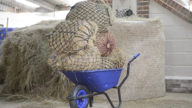 Photo shows a blue wheelbarrow piled high with full haynets