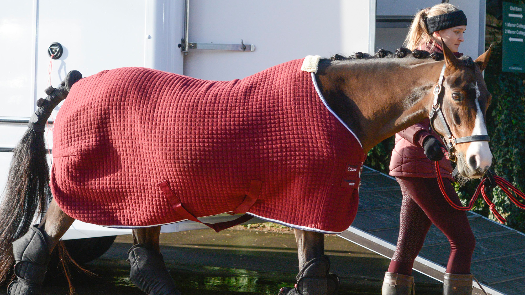 Horse wearing red Premier Equine travel rug ready to be loaded onto lorry in background