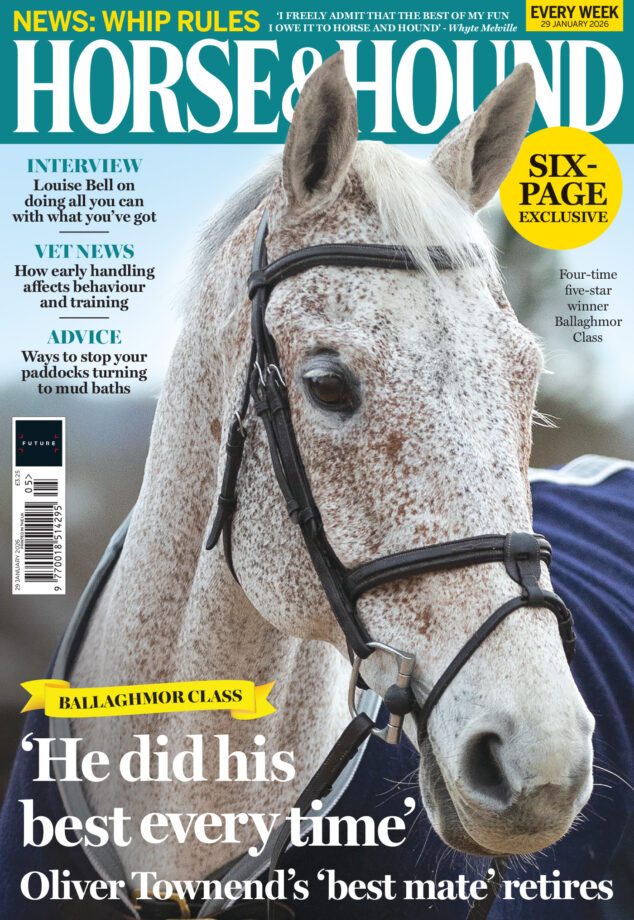 Cover of Horse & Hound, in shops from 29th January, featuring fleabitten grey eventing gelding Ballaghmor Class