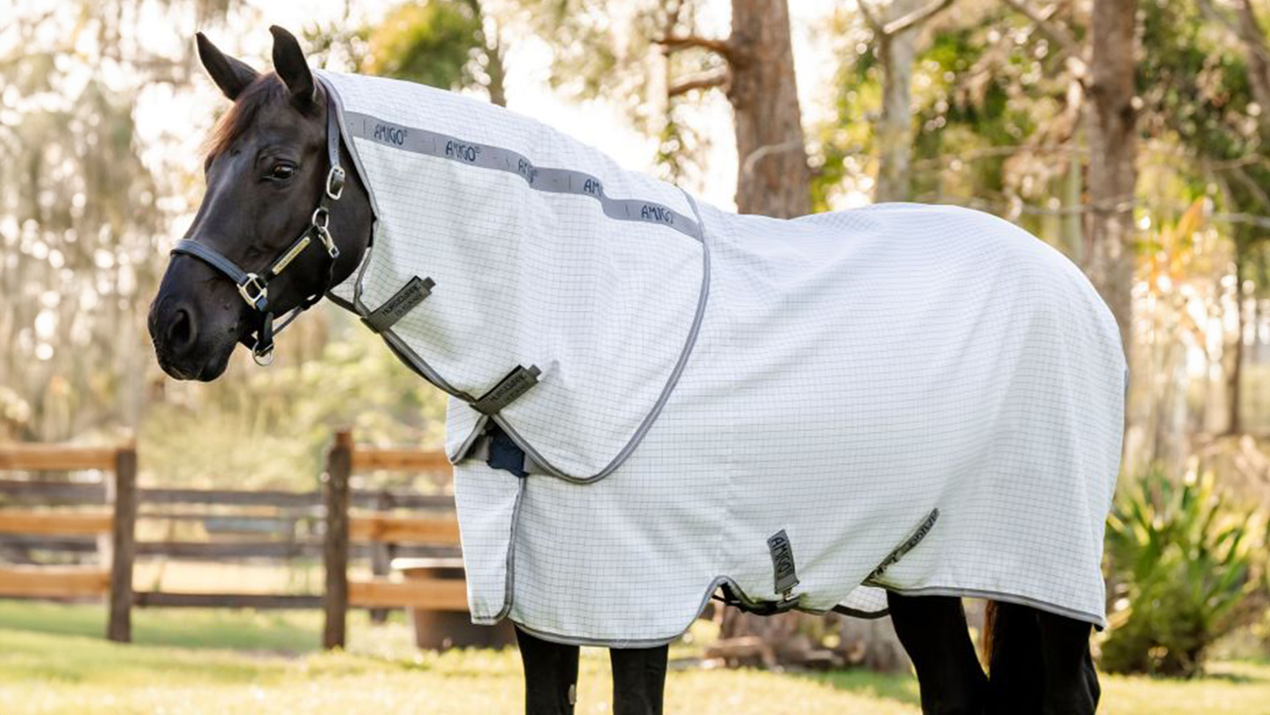 Horse wearing Horseware Amigo Summer Sheet