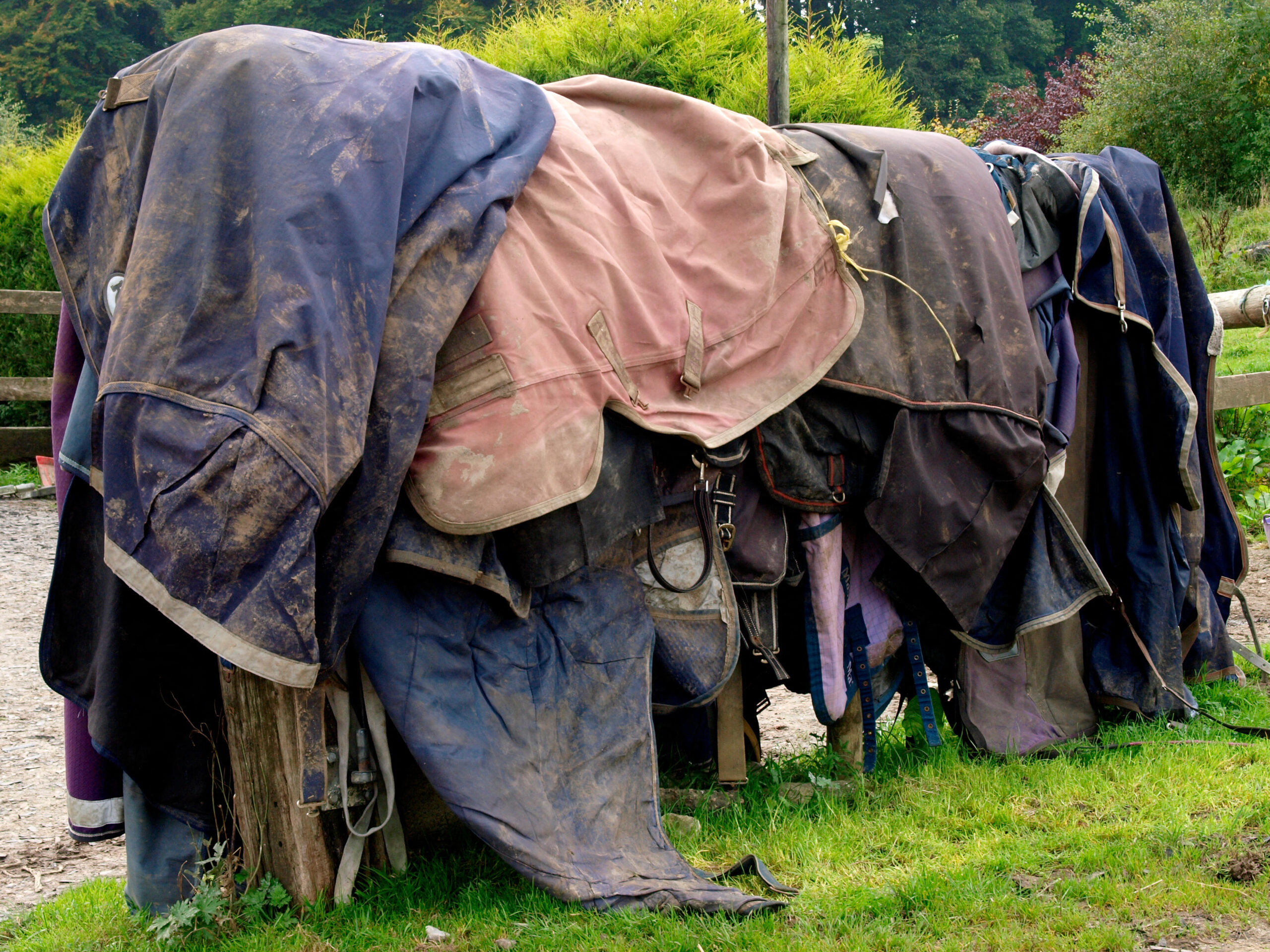 Large pile of different types of horse rugs hung over a fence