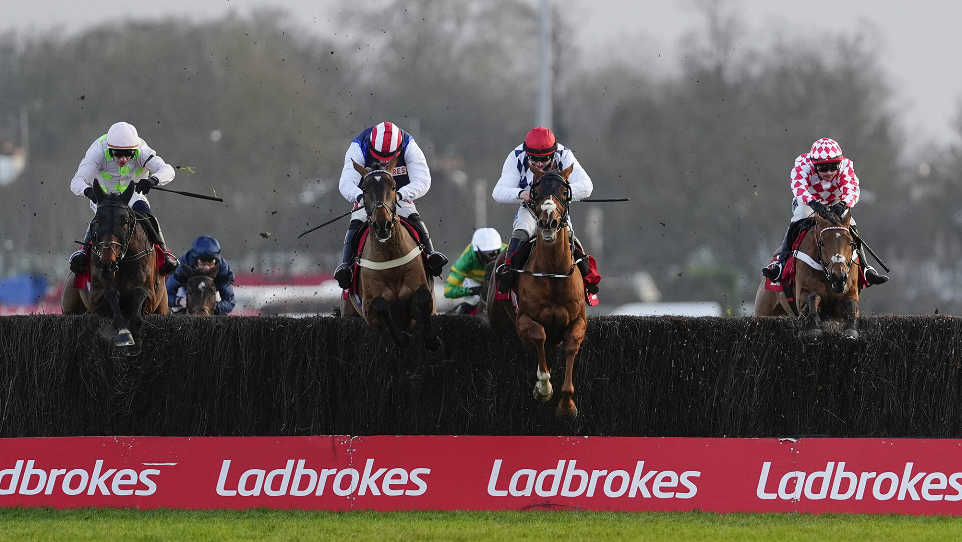 Cheltenham Gold Cup runners and riders: entries for 2026 race