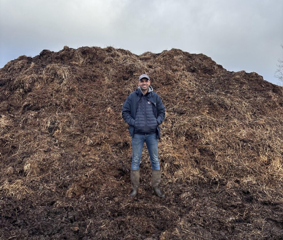 Horse manure plastic substitute