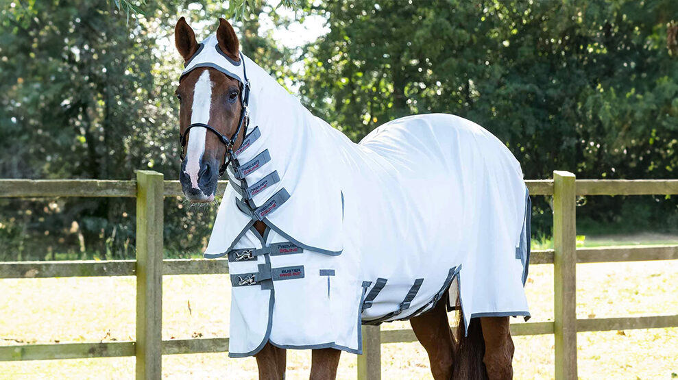 Chestnut horse wearing Premier Equine Sweet Itch Rug