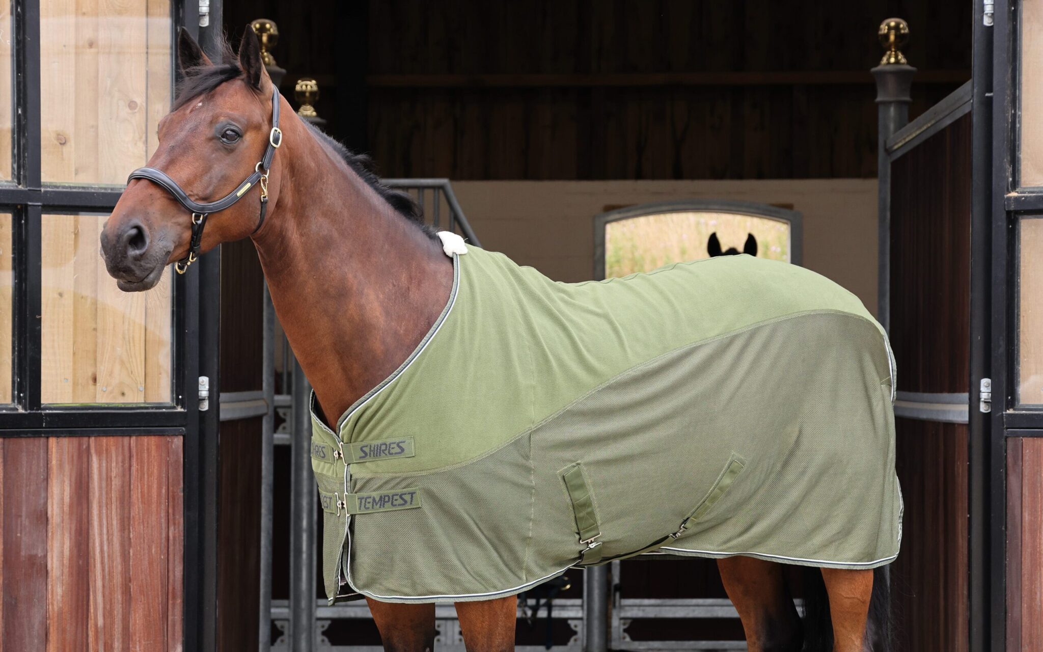 Types of horse rugs and how to work out which your horse needs