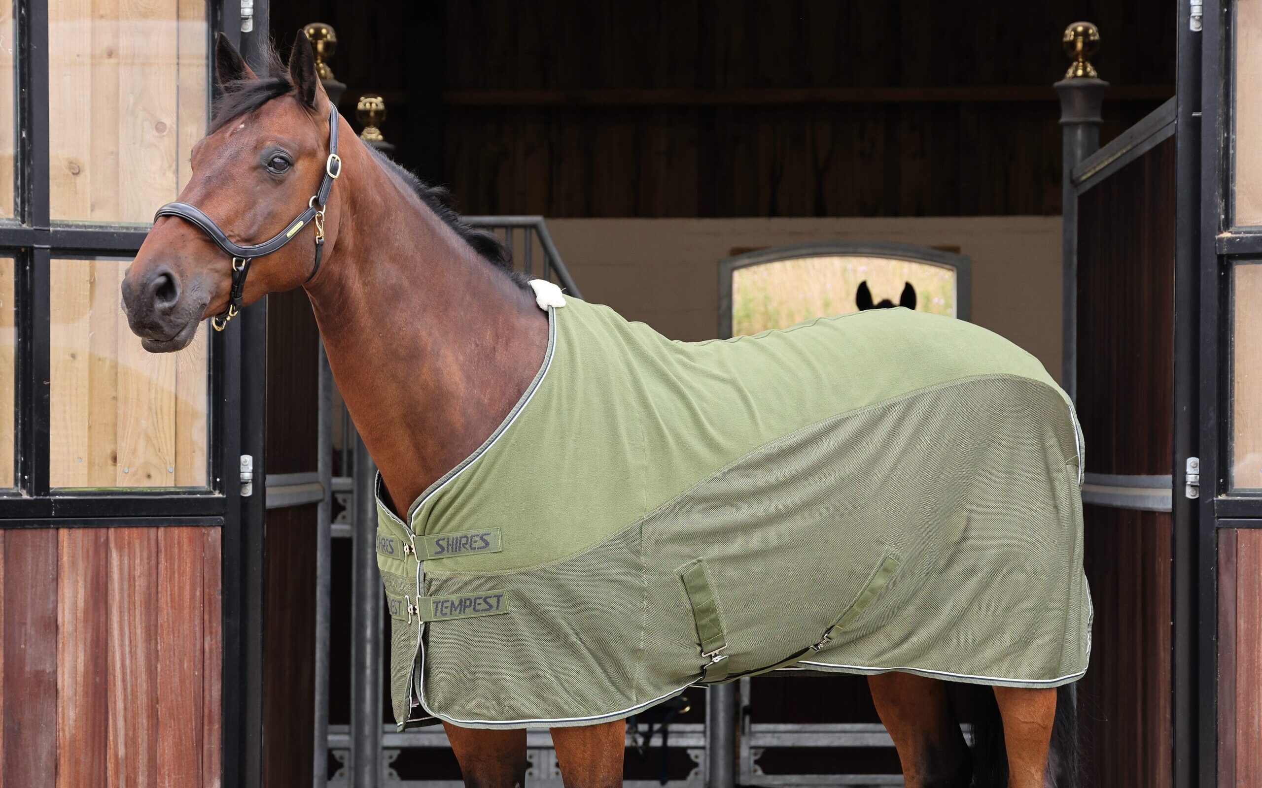 Horse outside stable block wearing khaki Shires Tempest Original Mesh Cooler Rug