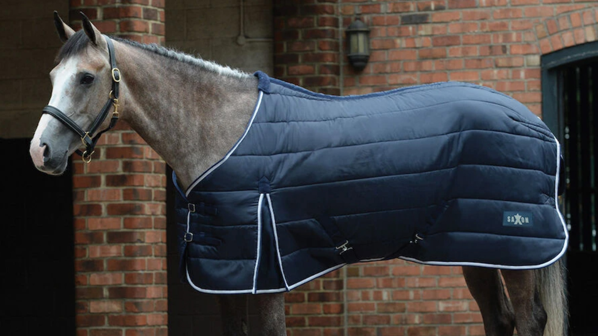 Horse wearing navy Saxon stable rug
