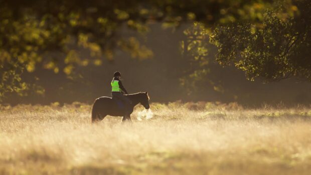 A women riding horse in a field on a beautiful autumn morning, UK.