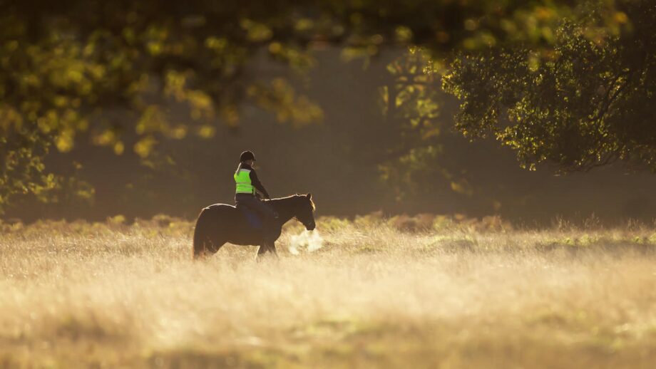 A women riding horse in a field on a beautiful autumn morning, UK.