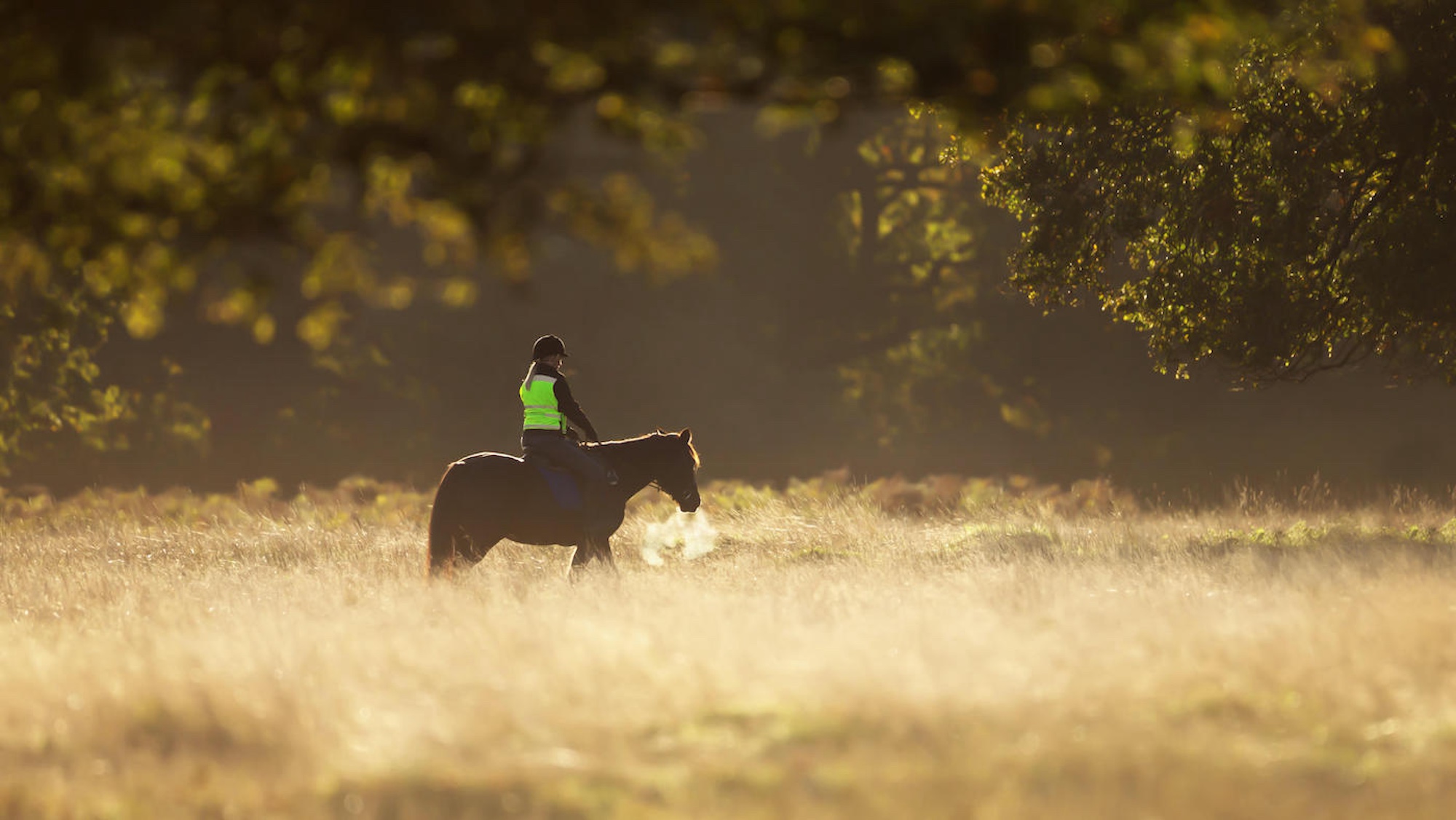 ‘Terrifying possibility’ of losing thousands of miles of off-road riding unless Government acts