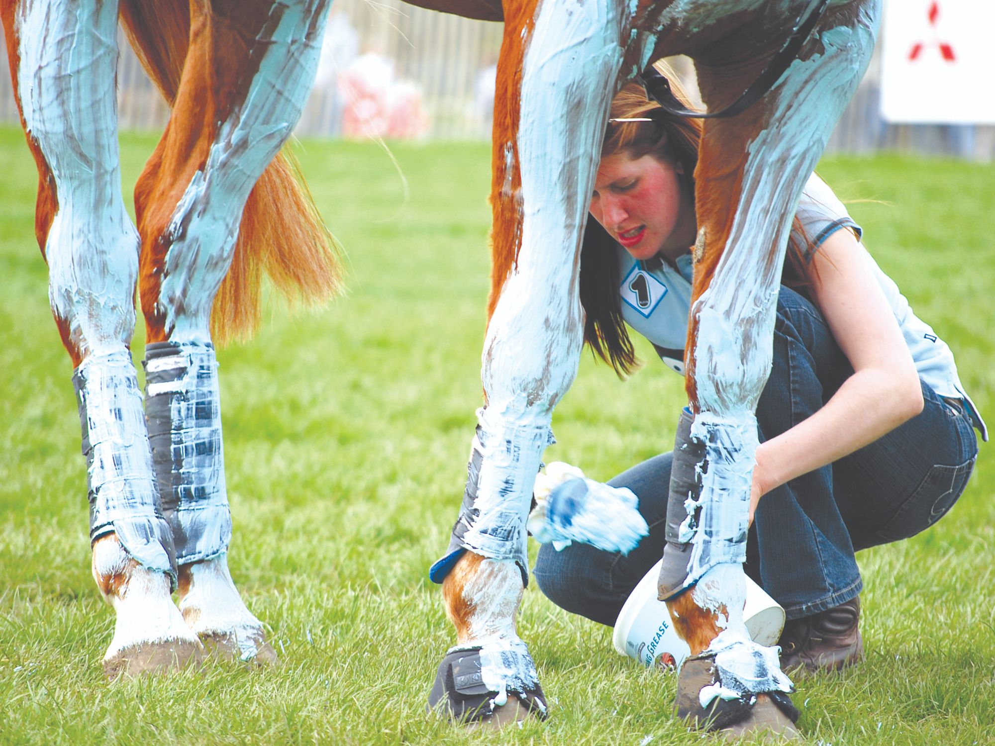 A woman applies grease to a horse's legs