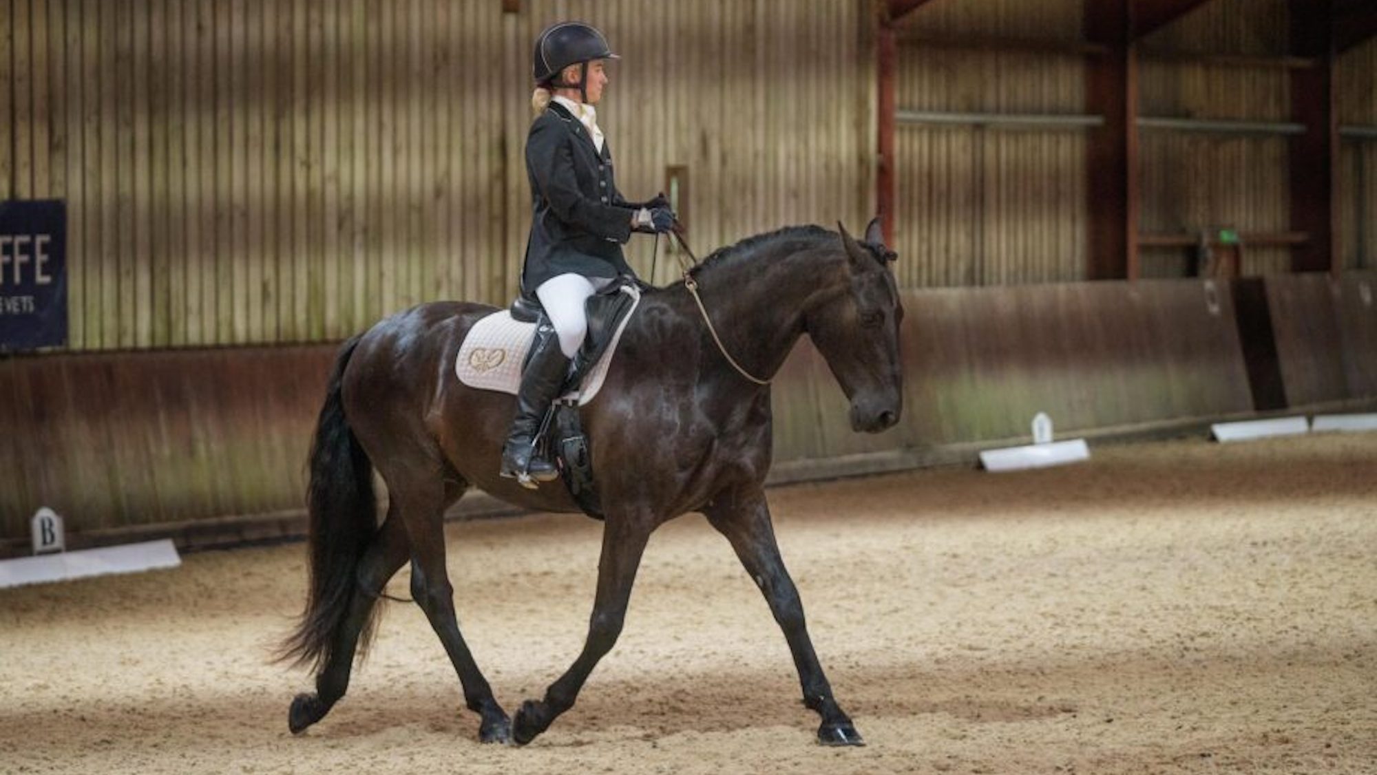 You too can ride bridleless, expert explains, and improve your competition prospects as well as the relationship with your horse
