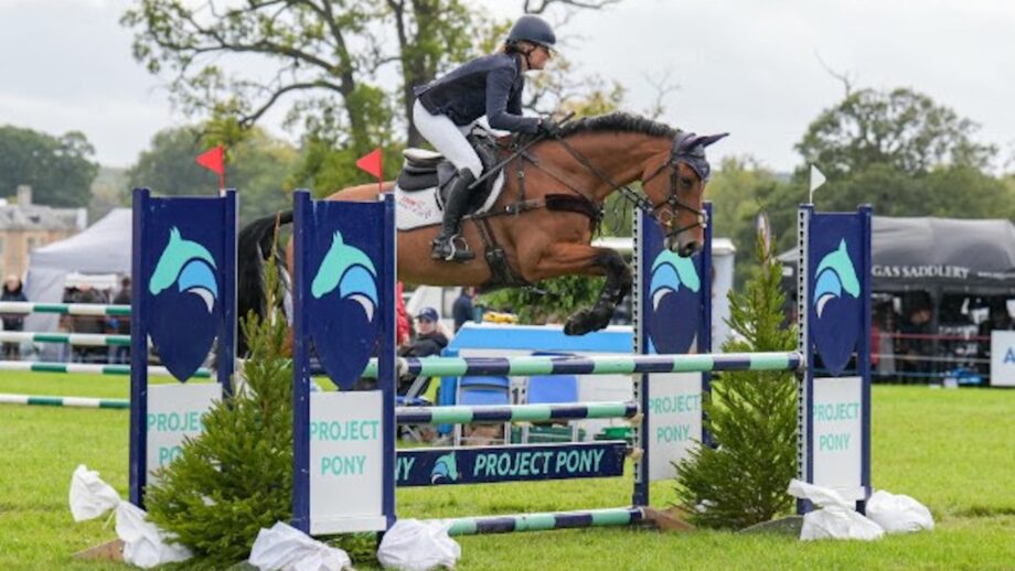 Image shows image of a bay horse and rider jumping over a showjump at Osberton