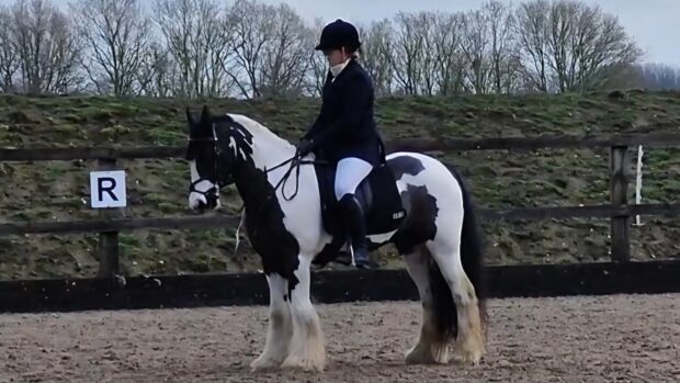 Cob Harvey and Alice Griffiths in the dressage arena