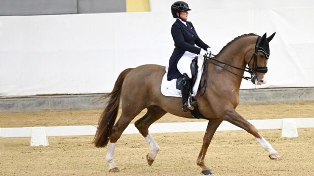 Diana Porsche riding Imhotep in trot during their grand prix debut
