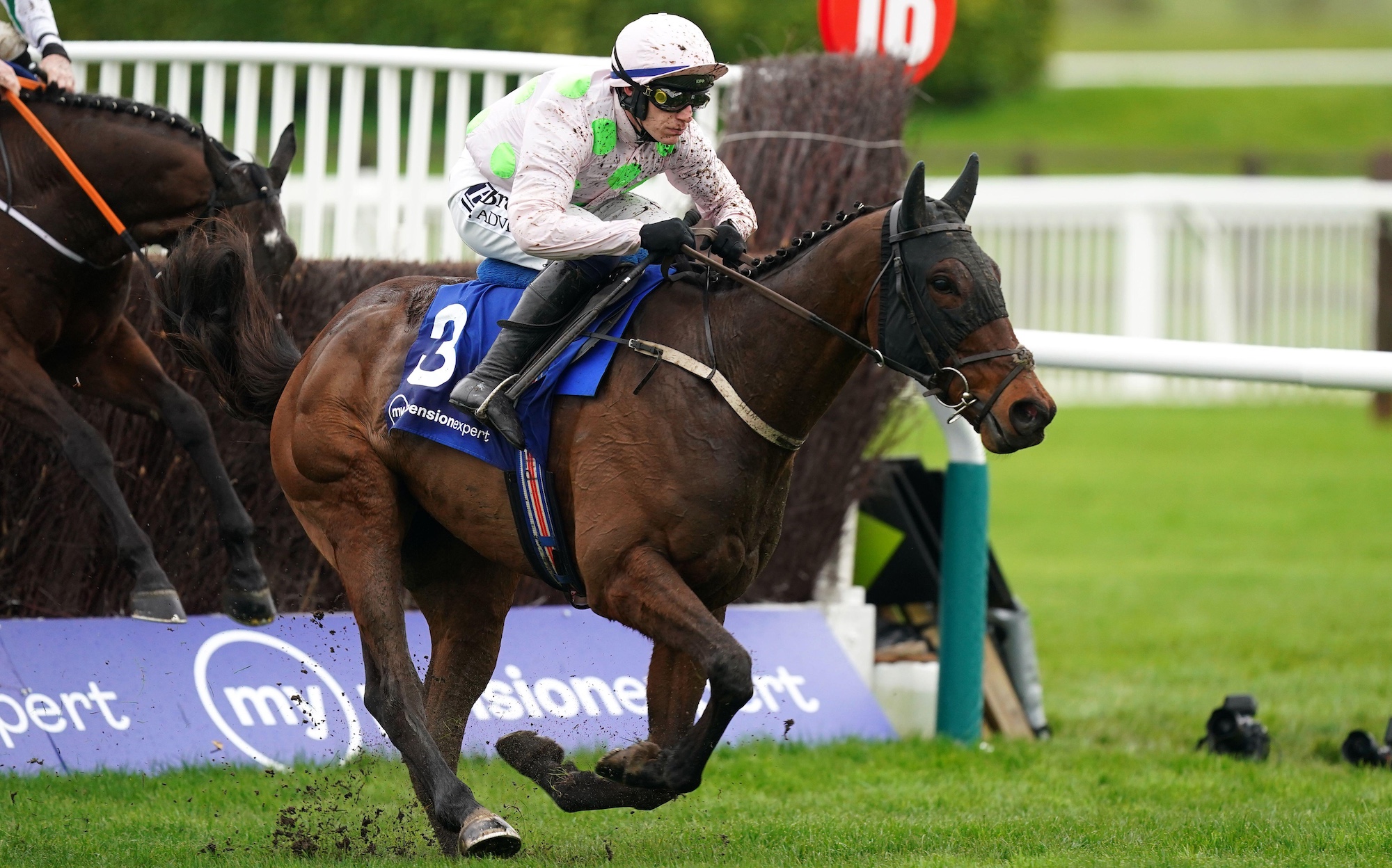 Racehorse Gaelic Warrior gallops away from a fence at Cheltenham, ridden by Paul Townend