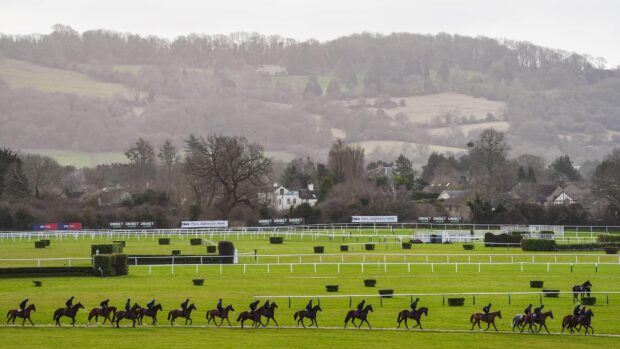 Willie Mullins string of racehorses exercising before racing at the Cheltenham Festival