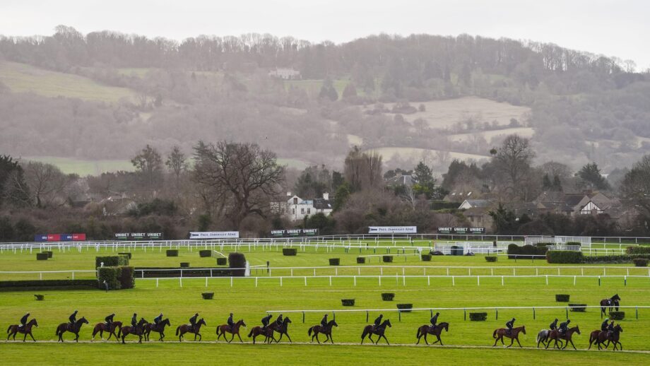 Willie Mullins string of racehorses exercising before racing at the Cheltenham Festival