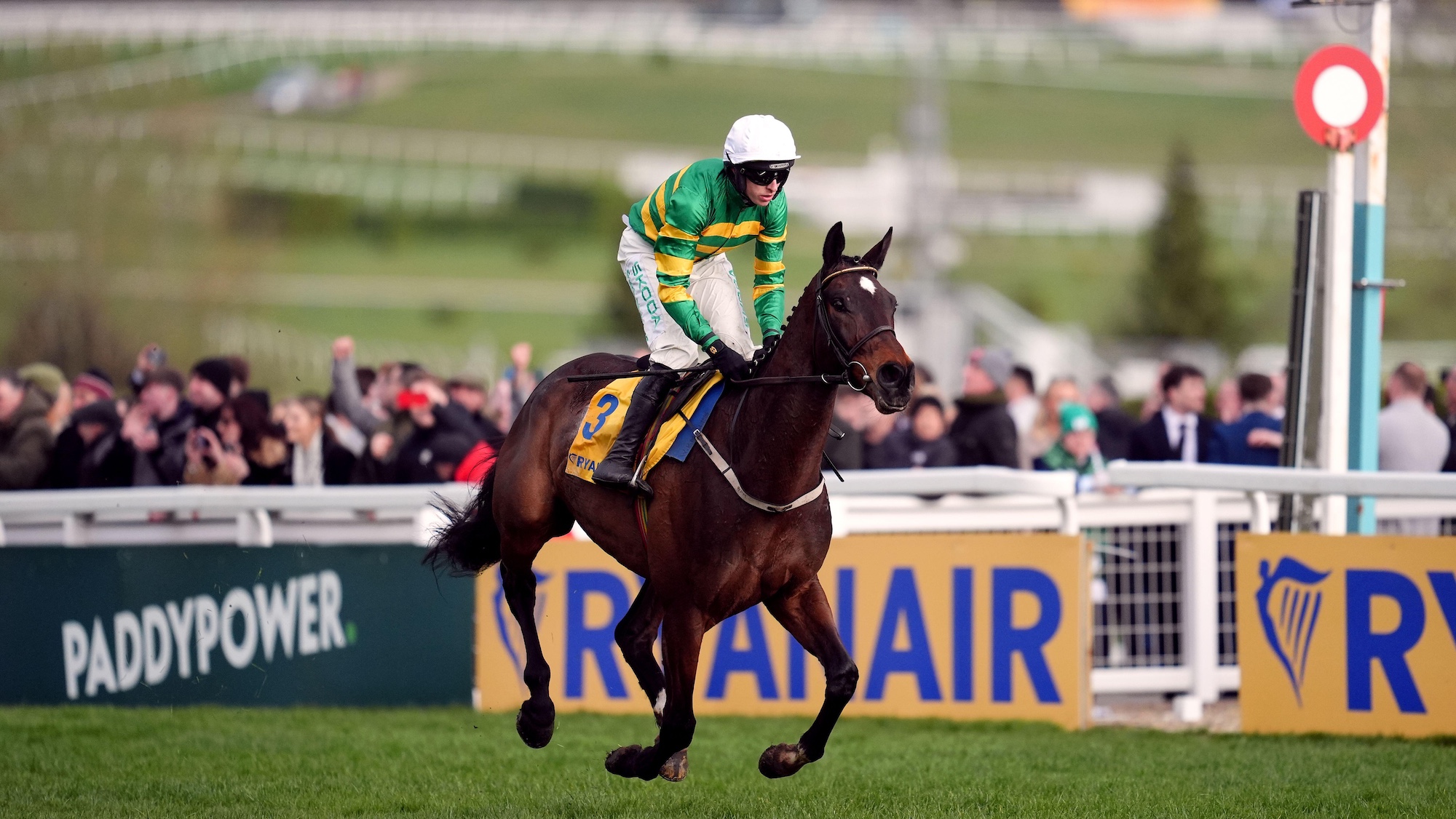 Fact to File winning the Ryanair Chase at Cheltenham 2025. He is set to defend his title in 2026